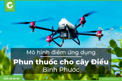 Mô hình điểm ứng dụng phun thuốc cho cây Điều Bình Phước