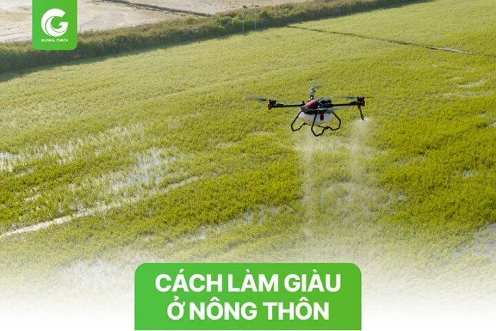 10+ Cách làm giàu ở nông thôn nhanh chóng & hiệu quả nhất 2023