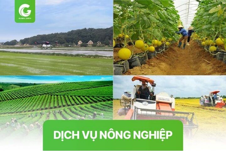 Dịch vụ nông nghiệp là gì? 5 Cơ hội làm giàu từ dịch vụ nông nghiệp 2023