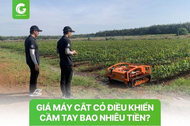 Giá máy cắt cỏ điều khiển cầm tay bao nhiêu tiền? [Bảng giá 2023]