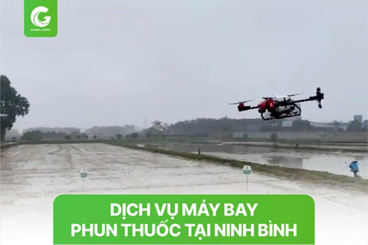 Dịch vụ máy bay phun thuốc tại Ninh Bình cho lúa, khoai, rau màu