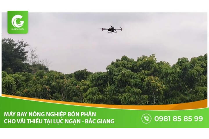 [Trải nghiệm] Máy bay nông nghiệp bón phân cho vải thiều tại Lục Ngạn, Bắc Giang