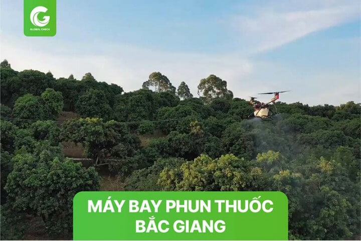 Máy bay phun thuốc Bắc Giang cho cây vải thiều, nhãn, táo, bưởi