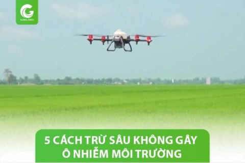 5 Cách trừ sâu không gây ô nhiễm môi trường, hiệu quả & tiết kiệm