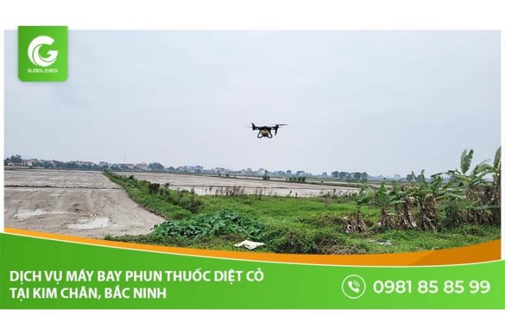 Dịch vụ máy bay phun thuốc diệt cỏ tại Kim Chân, Bắc Ninh - Globalcheck