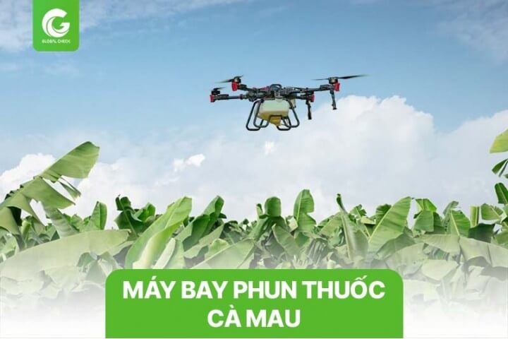 Máy bay phun thuốc Cà Mau cho cây lúa, chuối, xoài, bồn bồn, măng cụt