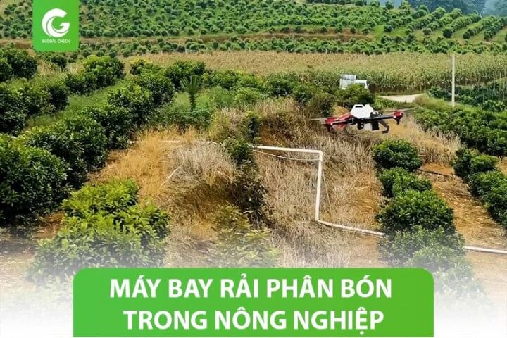 Ứng dụng máy bay rải phân bón trong nông nghiệp tăng năng suất cây trồng