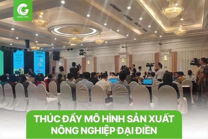 Diễn đàn Thúc đẩy mô hình sản xuất nông nghiệp đại điền