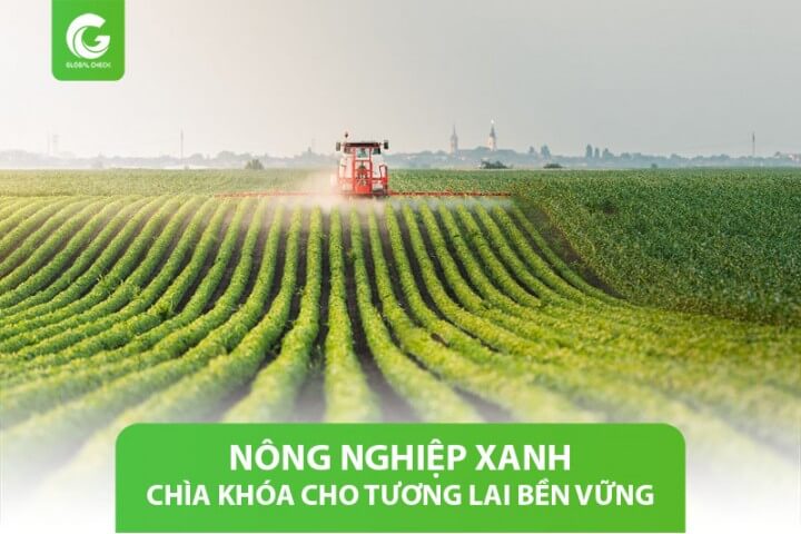 Nông nghiệp xanh: Chìa khóa cho tương lai bền vững