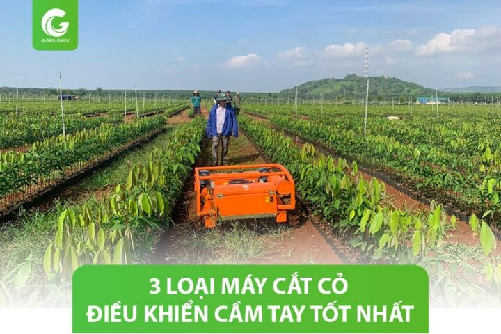 3 Loại máy cắt cỏ điều khiển cầm tay tốt nhất 2023