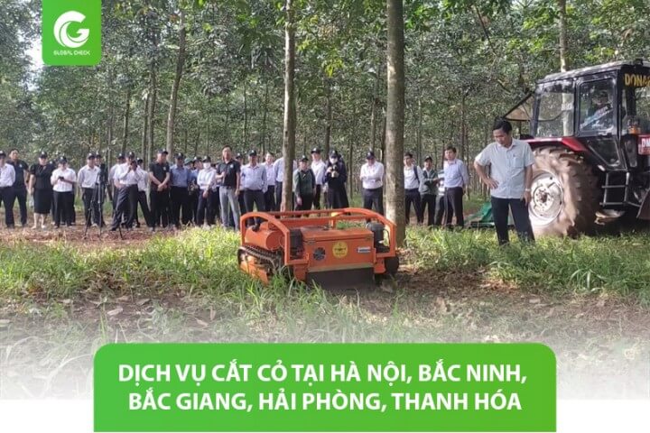 Dịch vụ cắt cỏ tại Hà Nội, Bắc Ninh, Bắc Giang, Hải Phòng, Nam Định, Ninh Bình, Thái Bình, Thanh Hóa, Nghệ An