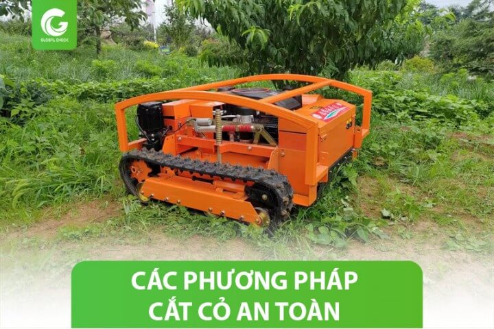 3 Phương pháp cắt cỏ an toàn, hiệu quả và nhanh chóng nhất