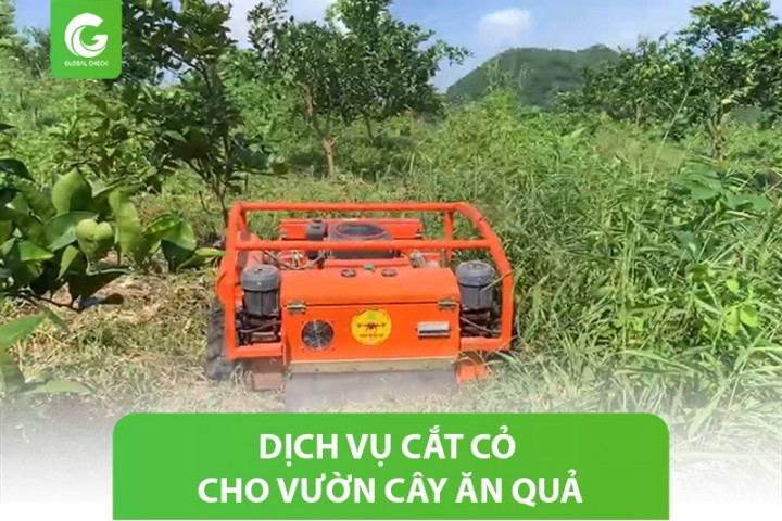 Dịch vụ cắt cỏ cho vườn cây ăn quả sạch sẽ, thoáng mát & nhanh chóng