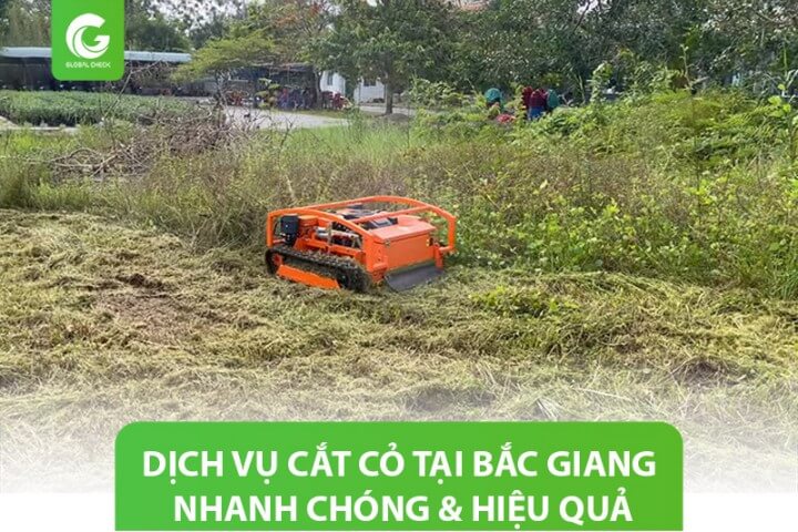 Dịch vụ cắt cỏ tại Bắc Giang cho vườn vải, cam, bưởi, táo