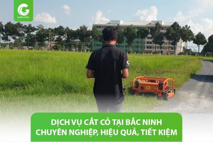 Dịch vụ cắt cỏ tại Bắc Ninh: chuyên nghiệp, hiệu quả, tiết kiệm chi phí