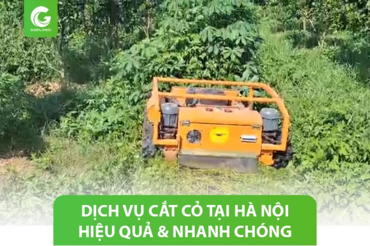 Dịch vụ cắt cỏ tại Hà Nội cho sân vườn, công viên, sân vận động…