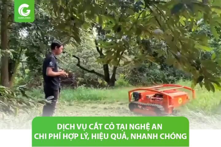 Dịch vụ cắt cỏ tại Nghệ An chi phí hợp lý, hiệu quả, nhanh chóng