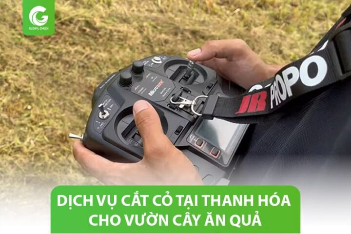 Dịch vụ cắt cỏ tại Thanh Hóa cho vườn cam, thanh long, bưởi, chuối