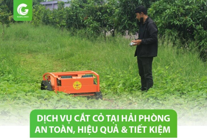 Dịch vụ cắt cỏ tại Hải Phòng: An toàn, hiệu quả & tiết kiệm chi phí