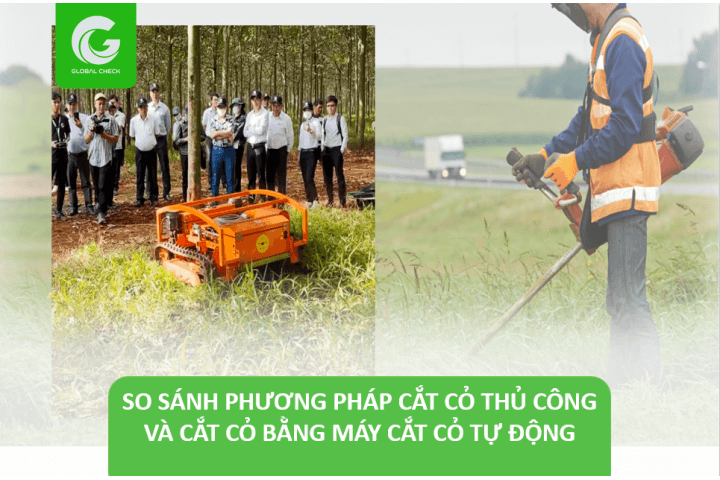 So sánh phương pháp cắt cỏ thủ công và cắt cỏ bằng máy cắt cỏ tự động