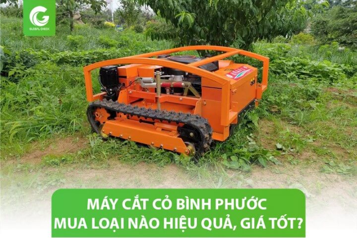 Máy cắt cỏ Bình Phước mua loại nào hiệu quả, giá tốt?