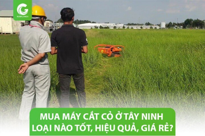 Mua máy cắt cỏ ở Tây Ninh loại nào tốt, hiệu quả, giá rẻ?