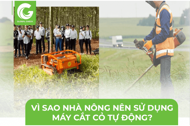 VÌ SAO NHÀ NÔNG NÊN SỬ DỤNG MÁY CẮT CỎ TỰ ĐỘNG?