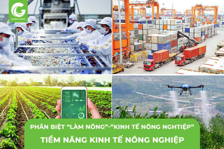 Làm Nông Nghiệp và Làm Kinh Tế Nông Nghiệp? Tiềm Năng Kinh Tế Nông Nghiệp