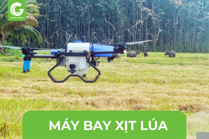 Máy bay xịt lúa