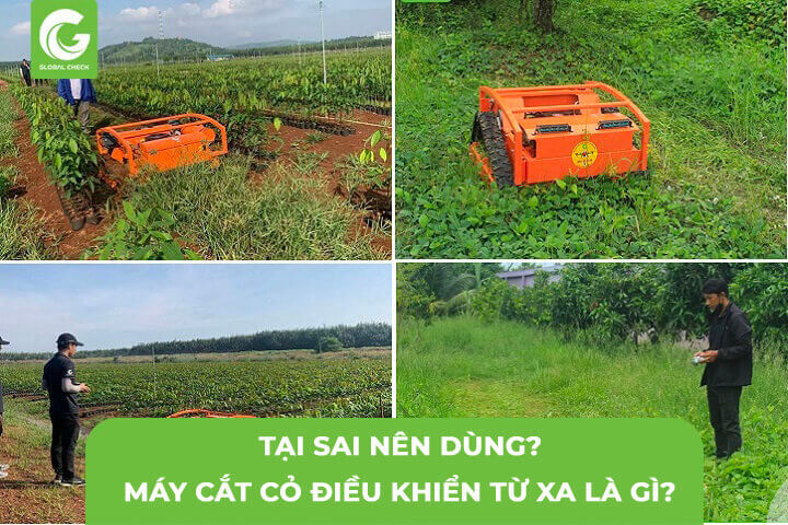 Máy Cắt Cỏ Điều Khiển Từ Xa Là Gì, Tại Sao Nên Dùng?, Tại Sao Nên Dùng?