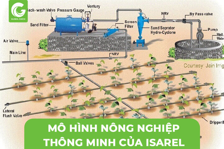 Mô hình nông nghiệp thông minh của Isarel