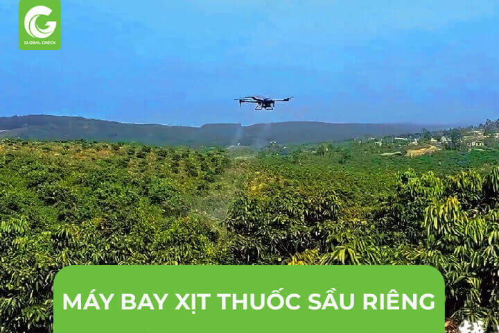 Máy bay xịt thuốc sầu riêng