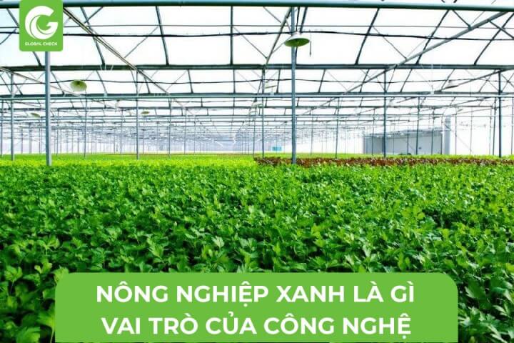 Nông nghiệp xanh là gì? Vai trò của công nghệ