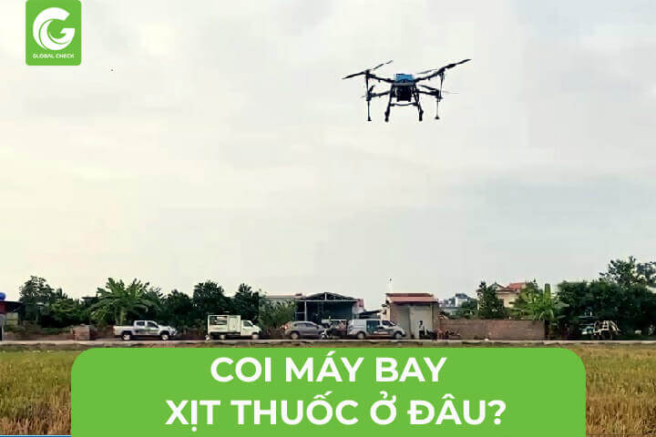 Coi máy bay xịt thuốc ở đâu?