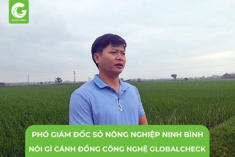 Phó Giám Đốc Sở Nông Nghiệp Ninh Bình Nói Gì Về Mô Hình Cánh Đồng Công Nghệ GlobalCheck