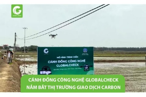 Cánh đồng công nghệ GlobalCheck nắm bắt thị trường giao dịch Carbon
