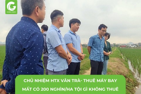 Chủ Nhiệm HTX Vân Trà- Thuê Máy Bay Mất Có 200 nghìn/ hecta Tội Gì Không Thuê