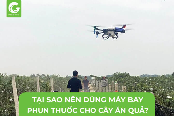 Tại sao nên dùng máy bay phun thuốc cho cây ăn quả?