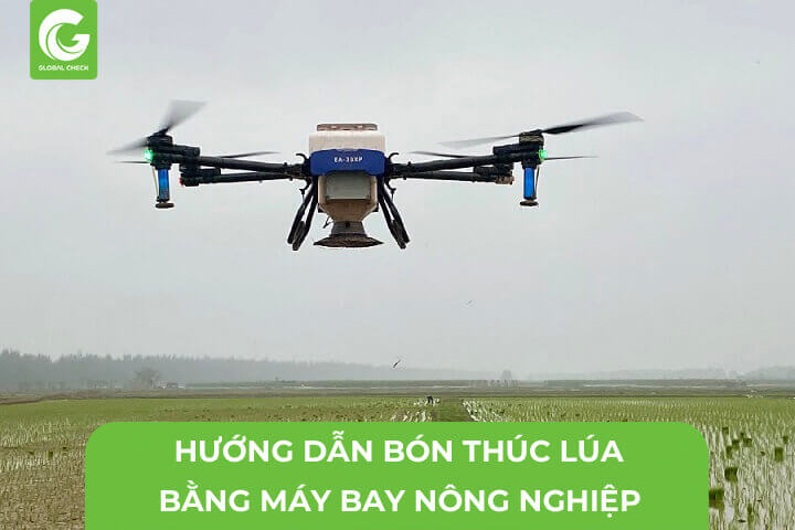 Hướng Dẫn Bón Thúc Phân Hữu Cơ Cho Lúa Bằng Máy Bay Nông Nghiệp