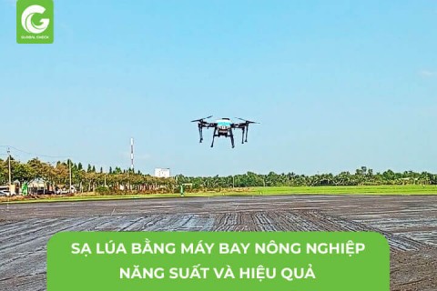 Sạ Lúa bằng máy bay nông nghiệp- năng suất và hiệu quả