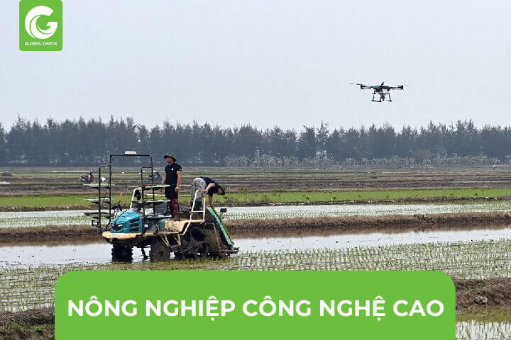 Nông Nghiệp Công Nghệ Cao