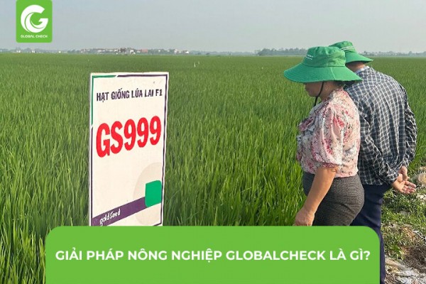 Giải pháp nông nghiệp GlobalCheck Là Gì?
