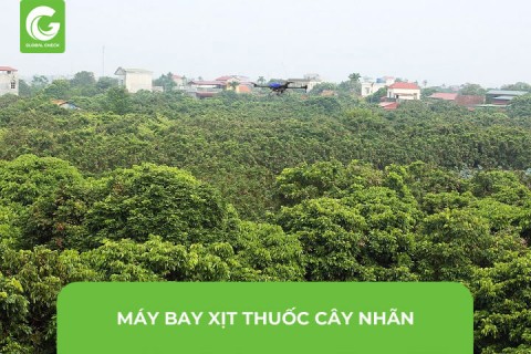 Máy Bay Phun- Xịt Thuốc Cây Nhãn