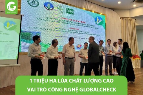 1 triệu ha lúa chất lượng cao, sự cần thiết công nghệ GlbobalCheck