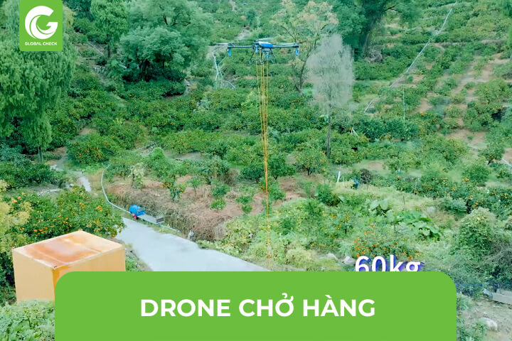 Drone Chở Hàng- Vận Chuyển Hàng Hóa