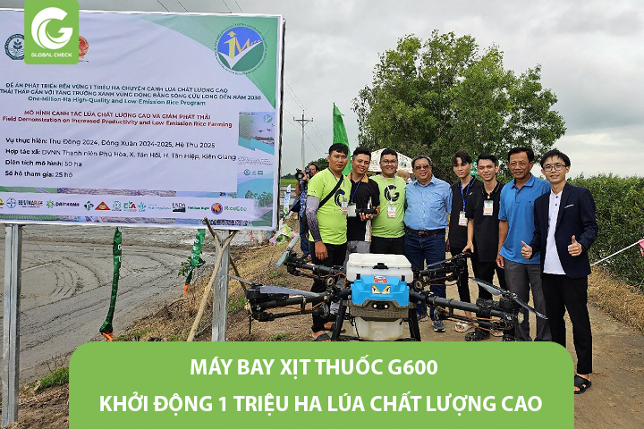 Máy Bay Xịt Thuốc G600 Khởi Động Đề Án 1 Triệu ha Lúa Chất Lượng Cao