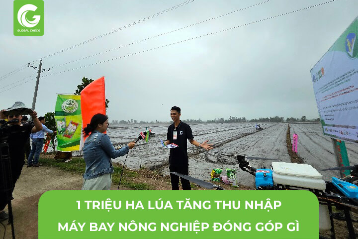 1 Triệu hecta Lúa Chất Lượng Cao Tăng Thu Nhập, Máy Bay Nông Nghiệp Đóng Góp Gì?