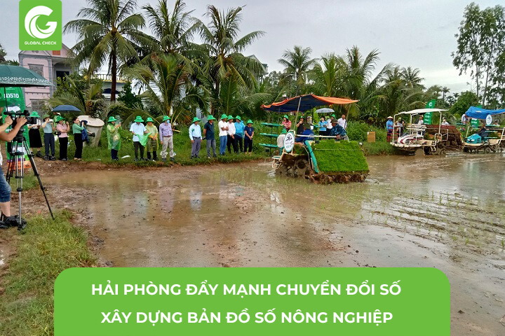 Hải Phòng Đẩy Mạnh Chuyển Đổi Số Nông Nghiệp, Số Hóa Trong Máy Bay Nông Nghiệp Như Thế Nào