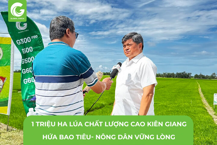 1 Triệu hecta Lúa Chất Lượng Cao- Tân Hiệp – Kiên Giang. Hứa Bao Tiêu, Nông Dân Vững Lòng