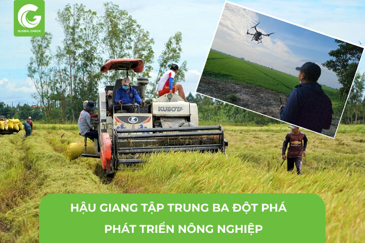 Hậu Giang Tập Trung Ba Đột Phá Trong Nông Nghiệp- Ứng dụng máy bay nông nghiệp